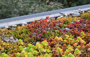 the cost of Wigginton green roof installation