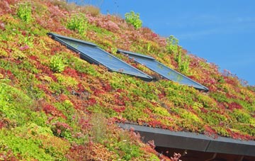 Wigginton living roof systems