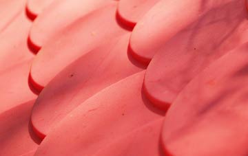 Wigginton plastic roof costs